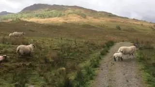 West Highland Way & Great Glen Way - May 2017