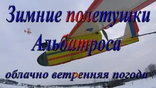 Зимние полёты Альбатроса в ветренне-облачную погоду