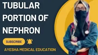 Tubular Portion of Nephron || NEPHRON ||Physiology of Nephron || Passage of Urine ||