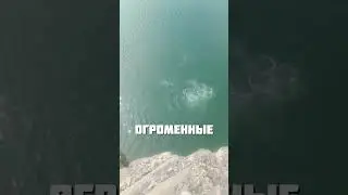 UFO UNDERWATER
