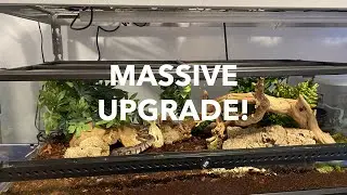 MASSIVE ENCLOSURE SETUP | Ball Python Gets A New Home