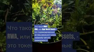 Что такое RWA? #crypto