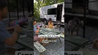 Camping in the van!Check out the link in our bio to get your own pen and carrier @fxwofficial9110