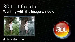 How to work with the Image window in 3D LUT Creator