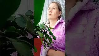 😔не грусти...
