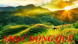 ✅ Nhạc đồng quê l Nhạc không lời l Hòa tấu guitar l Play list 20