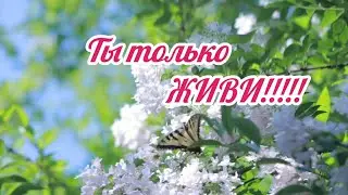 Северянка на хуторе//Прошу помощи. Денег не надо!!!!
