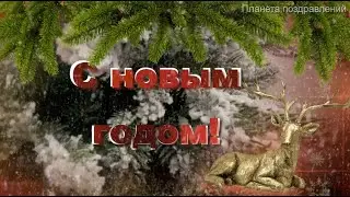 С новым 2024 годом! Лучшее поздравление с новым годом