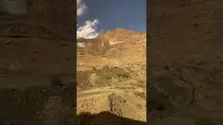 Животный мир горного Ирана