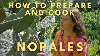 How to Harvest, Prepare, and Cook Nopales Cactus [2 Recipes!]