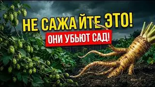 Осторожно, агрессоры! 20 растений, которые нельзя сажать на даче (как их вывести)