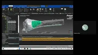 Preventing Fixation Failure: The Role of 3D Modeling in Post-Surgical Weight-Bearing