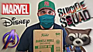 Barnes & Noble Exclusive Funko Mystery Box Unboxing