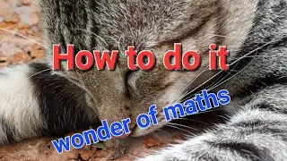 wonder of maths