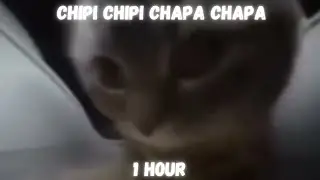 Chipi chipi chapa chapa [1 HOUR]