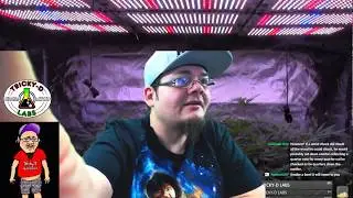 Testing the new Stream Labs OBS Software!