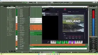 Musio Ireland - Star of the County Down