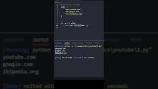 Simple Python Mistake! 