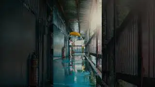 "Everything"  #weatheringwithyou #aesthetic