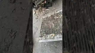 Шота печка плоха дуит