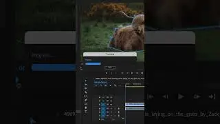 NEW VERSION - Mask To Transform 1.2.0 for Premiere Pro - new feature - STABILIZATION MODE