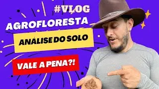 Você já fez análise do solo? #vlog #agrofloresta #gringoreact #gringoreagindo #agriculturasintropica