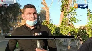 الوادي : توسع زراعة شجرة النيم بمنطقة أم الطيور لخصائصها الفريدة