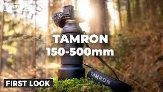 The ONLY telephoto lens you need?! | Tamron 150-500mm F5-6.7 First Look