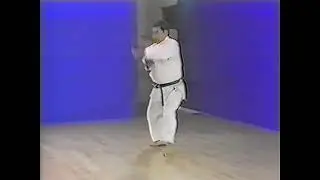 Goju ryu kata   Gekisai dai ni