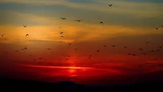 🎶A bre, sinko🧘Meditation music☀️Peter Deunov🇧🇬А бре, синко