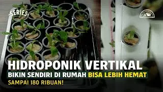 Membuat Hidroponik Vertikal Tower Sendiri, Lebih Hemat 180 Ribuan!
