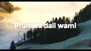 Mr. Bow - Pfumela (Official Lyrics)