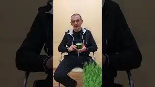 Витграсс. #живоепитание #сыроедение #живоеплодовоепитание #бесслизистаядиета #отказотмяса