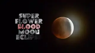 Super Flower Blood Moon Eclipse 2022