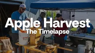 Apple Harvest - The Timelapse
