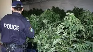 10 Biggest Drug Seizes Of All Time