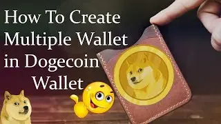 How To Create Multiple Wallets in Dogecoin Wallet | Crypto Wallets Info