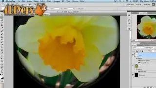 Adobe Photoshop: Creating a Fisheye Lens Effect