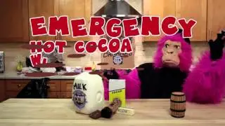 How to Make Hot Cocoa with Chocolate Bar