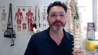 What Hurts? 3 Types of Back Pain