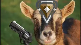 Bronze Beast