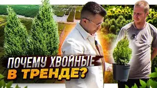 Как посадить и продать 1.000.000 ХВОЙНЫХ В КОНТЕЙНЕРАХ🌲💰