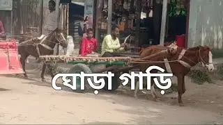 Horse carriage ঘোড়া গাড়ি