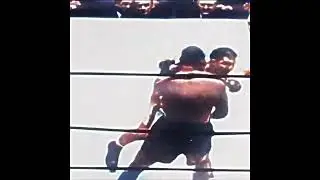 ROCKY MARCIANO (tribute) #shorts #boxing #edit #foryou #fyp #fypシ