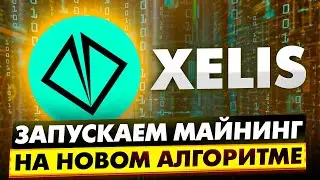 XELISHASHV2 | ГОТОВИМСЯ К ХАРДФОРКУ | КАК ЗАПУСТИТЬ МАЙНИНГ НА НОВОМ АЛГОРИТМЕ