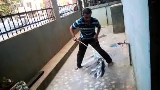 My Old Paper Newspaper Broomstick in action...