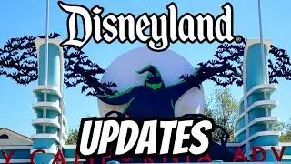 Disneyland Updates - Tiana’s, Critter Country, Merch Search & Deadpool Story time!