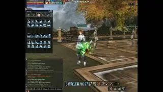 L2Elite Woot +25 Make Chaotic