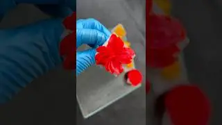 You won’t believe how easy is to pipe this beautiful flower 
