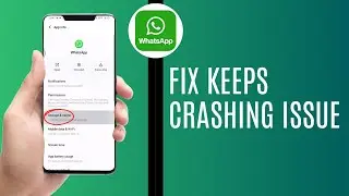 How To Fix WhatsApp Keeps Crashing Issue On Android 2024